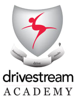 DS Academy Logo